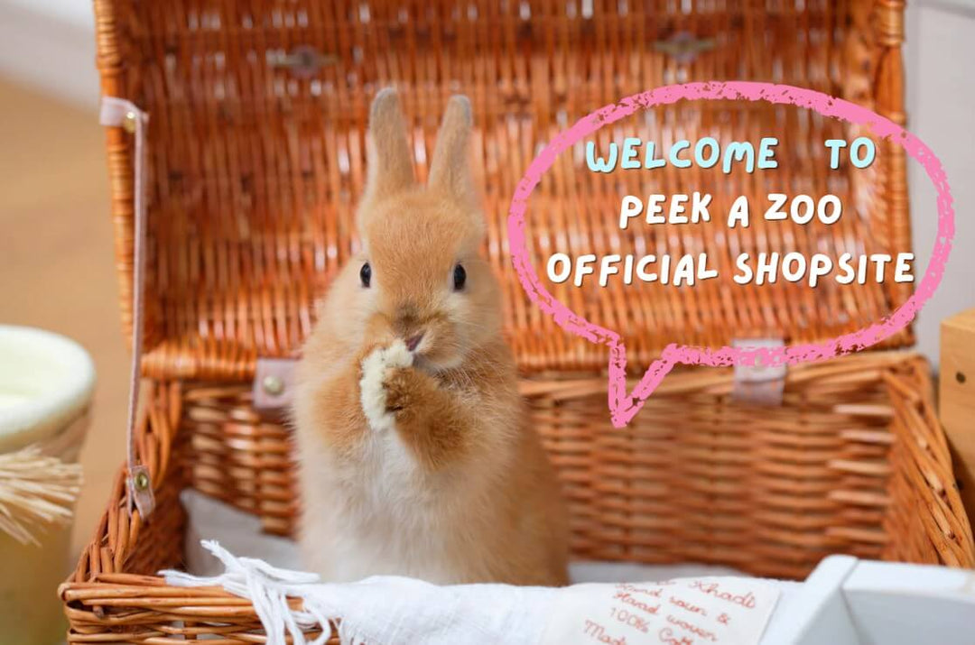 いつもご利用いただいているお客様へ🐰