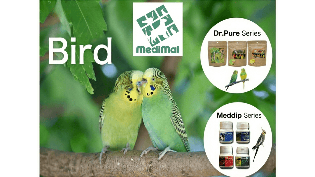 メディマルとは？鳥・小動物の健康を支えるサプリの考え方