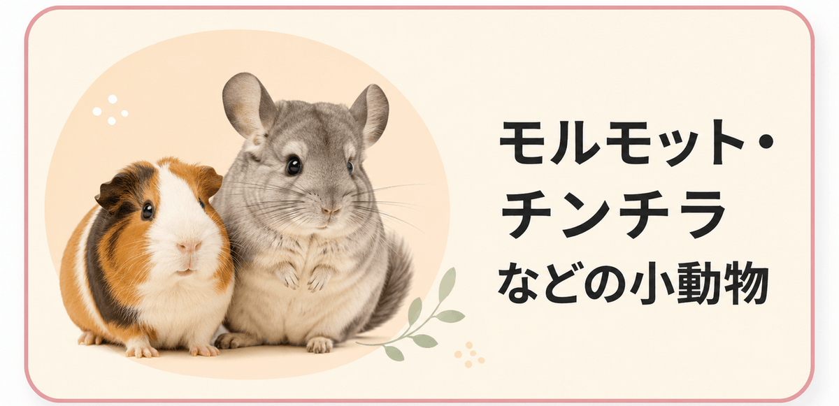その他小動物用品