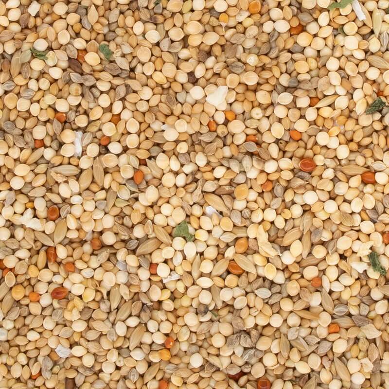 NPF　エクセル小鳥の食事　皮付き　600g