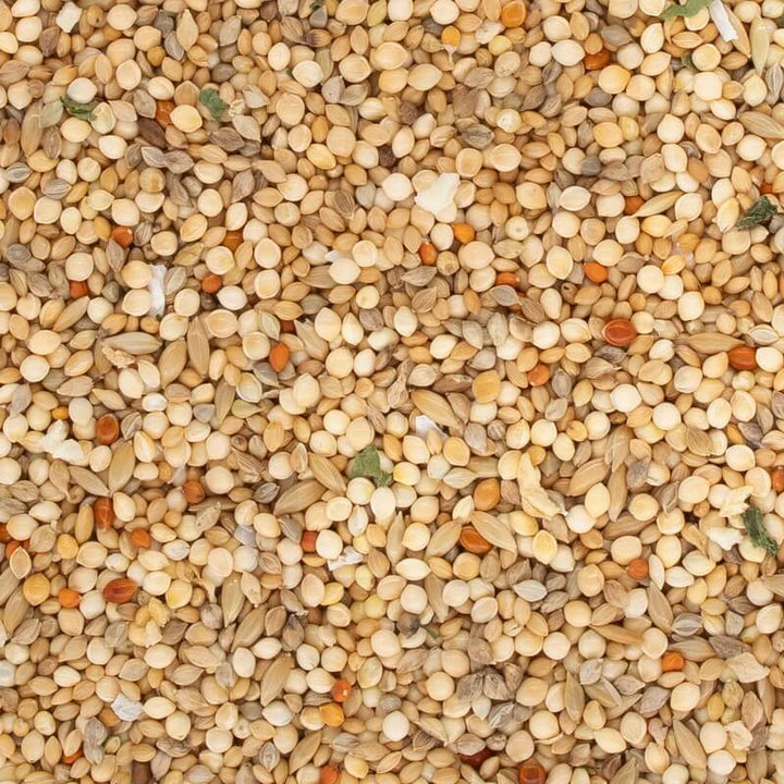 NPF　エクセル小鳥の食事　皮付き　600g