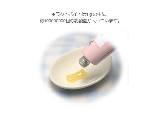ラクトバイト（乳酸菌ペースト）50g　616