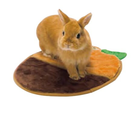 どんぐりのクッション　W03　