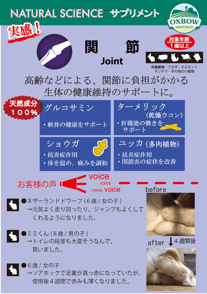 OXBOW　ナチュラルサイエンス　関節　小動物用　60粒