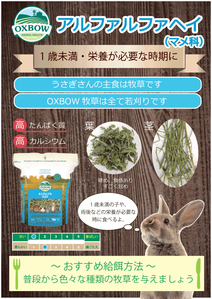 OXBOW　アルファルファヘイ　425g　