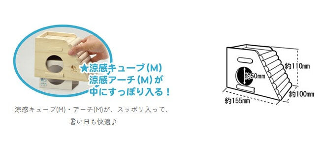 広葉樹ハウス　スロープ　H22