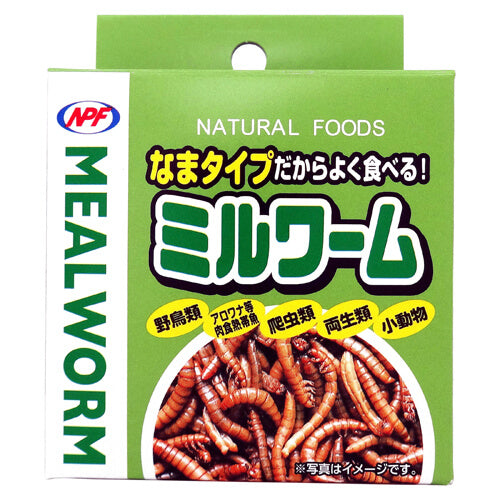 NPF　ミルワーム　缶詰　35g