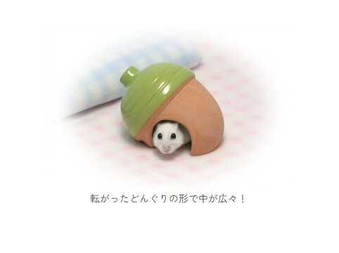 素焼ハウス　どんぐり　S55