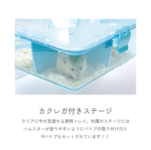 ルーミィ　ブルー　C12　