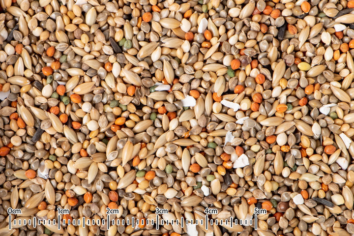 黒瀬ペットフード　プロショップ専用　 mania 　カワツキ　3kg