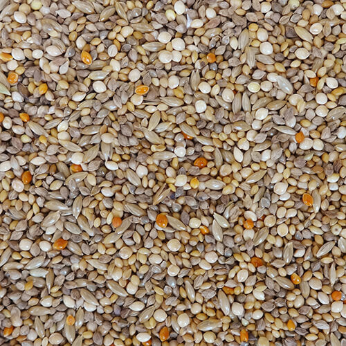 NPF　エクセルおいしい食事　皮付き　1.8kg