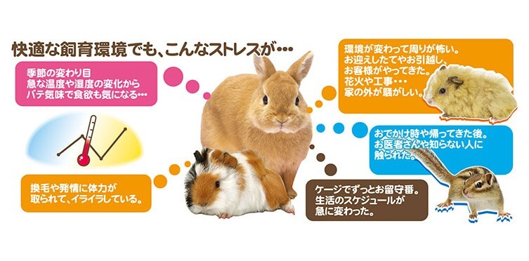 リキッドエイド　マルチビタミン小動物　60ml　F41