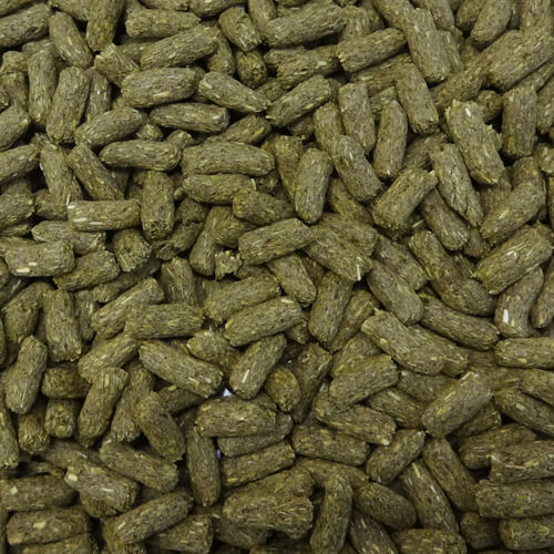 NPF　テイストプラス　大麦若葉のペレット　80g