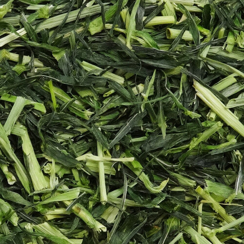 NPF　ハーティー　大麦若葉　30g【メーカー販売終了品】