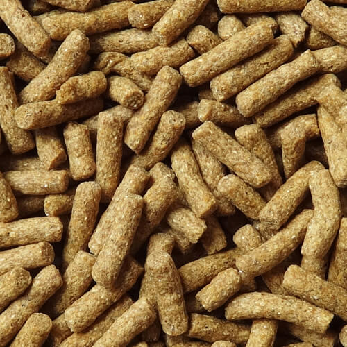 NPF　Animal Premium Pack フクロモモンガ　350g（50g×7）
