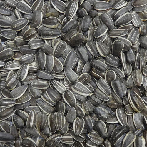 NPF　プレミアム　大粒ひまわり　550g