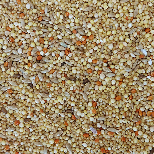 NPF　エクセルおいしい食事　皮むき　900g