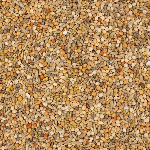 NPF  エクセル　皮付きの食事　600g