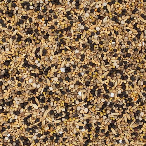NPF  エクセル　カナリア　皮付き　500g