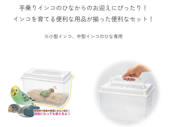 インコひな用　特製飼育セット　B52