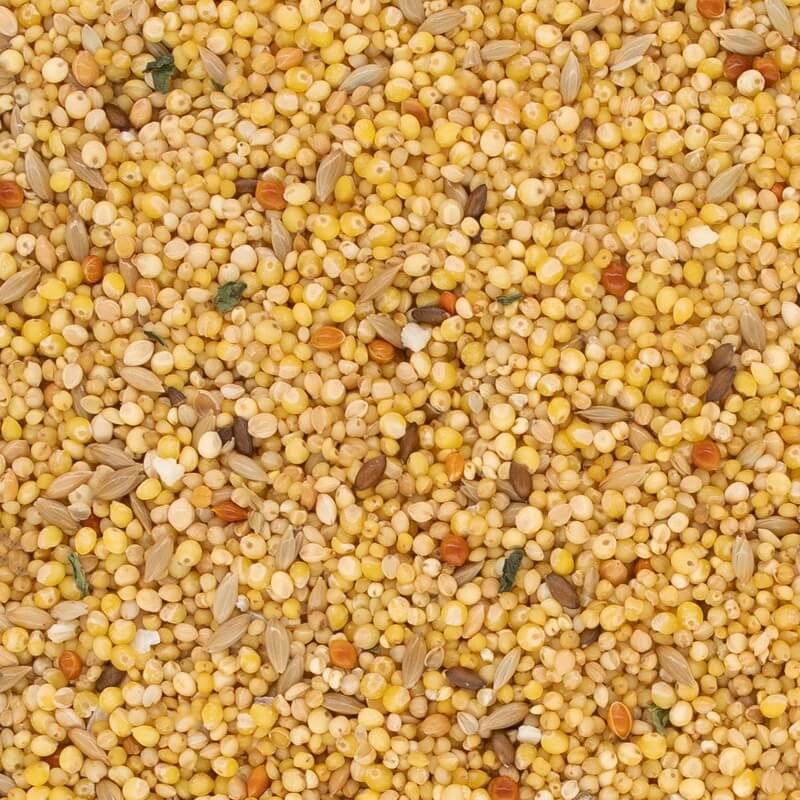 NPF　エクセル小鳥の食事　皮むき　600g