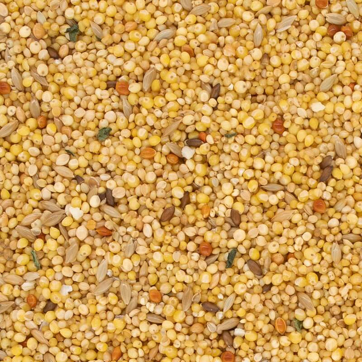NPF　エクセル小鳥の食事　皮むき　600g