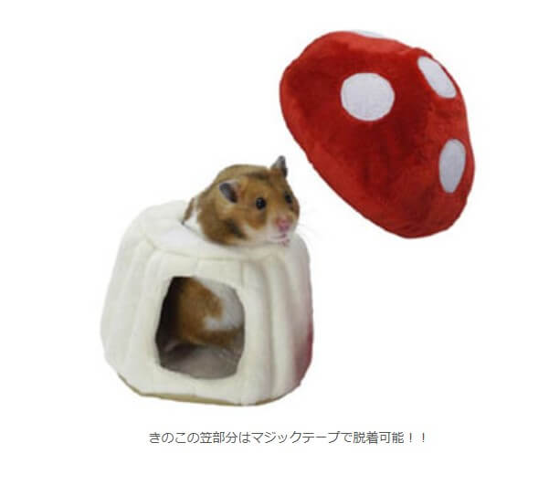 マッシュルームハウス（S）　W07