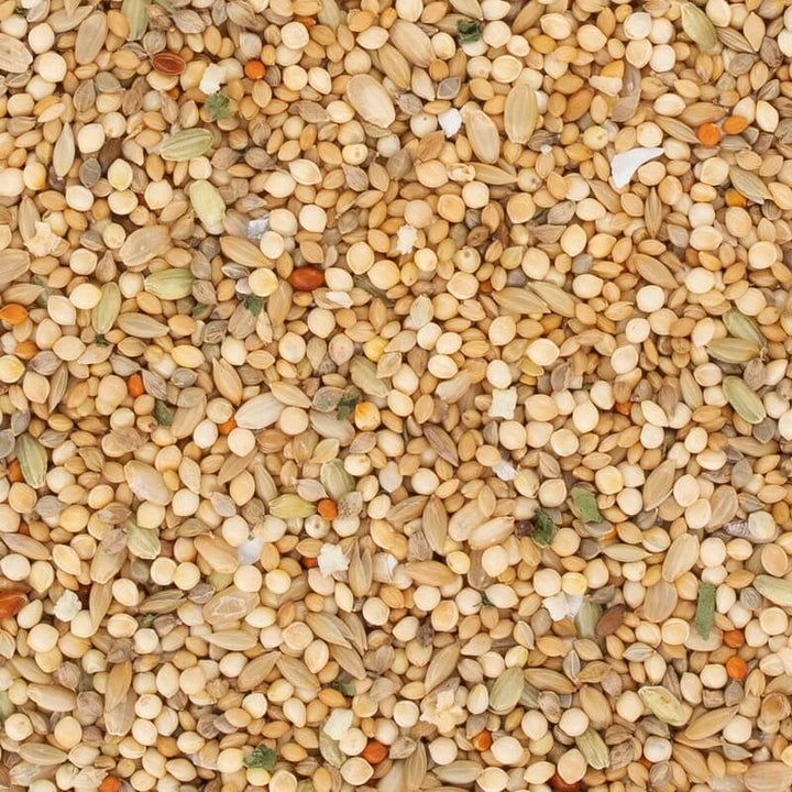 ※特価※　NPF　エクセル文鳥　皮付き　600g　【在庫限り】