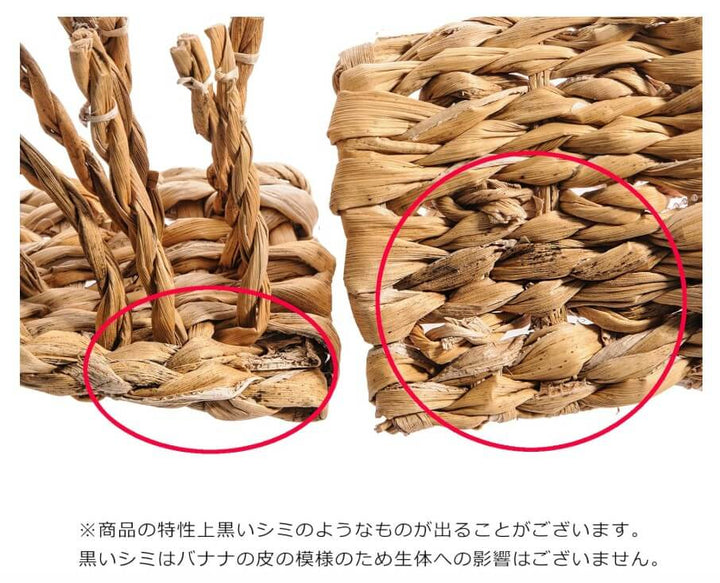 KAWAI　バナナdeたこ足　