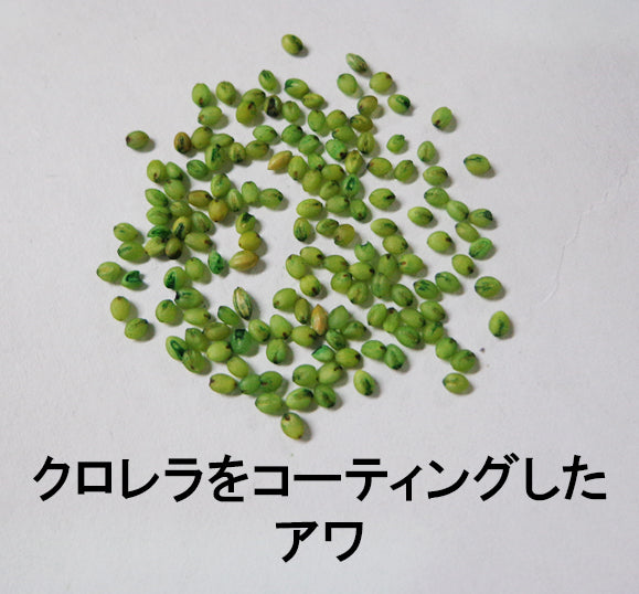 黒瀬ペットフード　プロショップ専用　 mania 　カワツキ　3kg