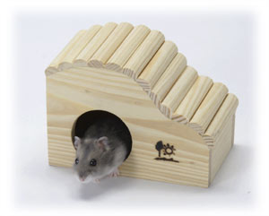 ウェーブハウス（S）　H11
