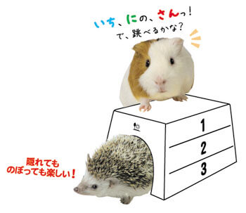 とびばこハウス　H19