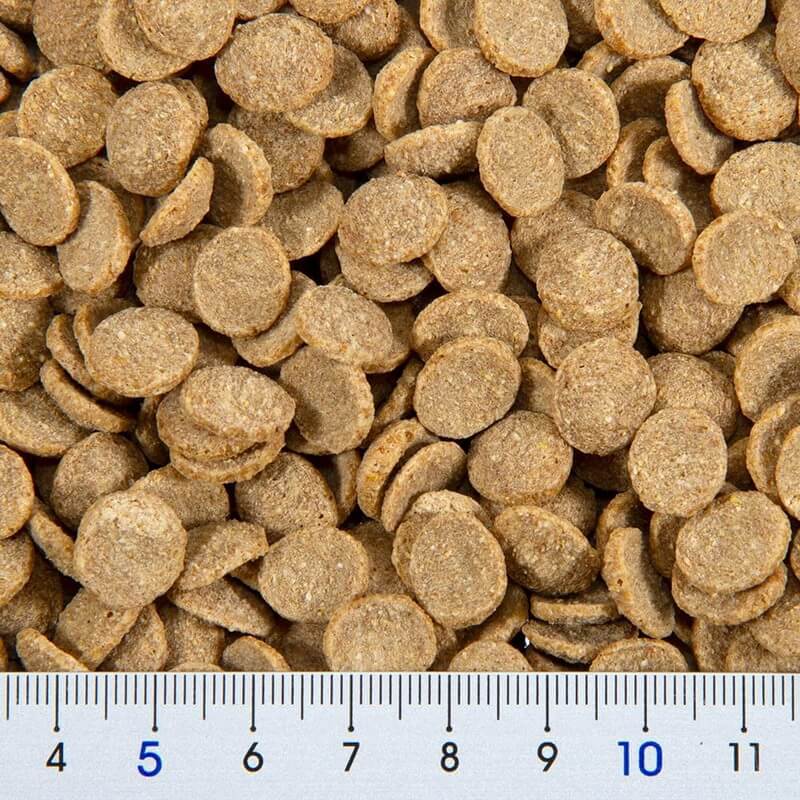 GEX　ハムスタープレミアムフード　ドワーフ専用　400g