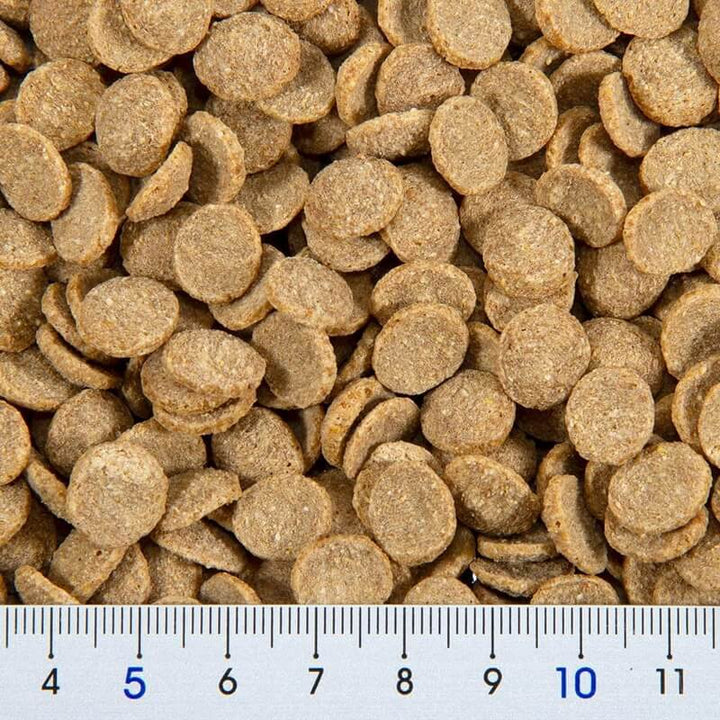 GEX　ハムスタープレミアムフード　ドワーフ専用　400g