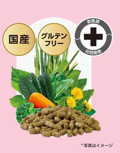 【ネット通販厳禁】【生体取扱店限定】イースター　バニーセレクションプロ　グロース　900g
