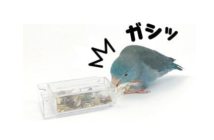 フォージングトイ　ひっぱりボックス　B104