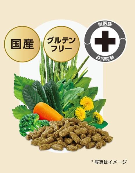 【ネット通販厳禁】【生体取扱店限定】イースター　バニーセレクションプロ　シニア　2.25Kg