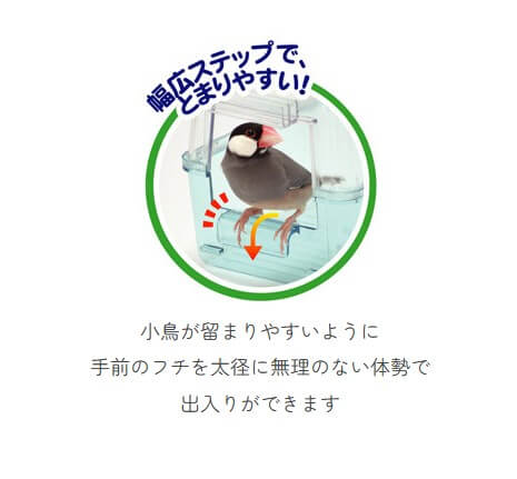 小鳥の快適バスタイム　B51