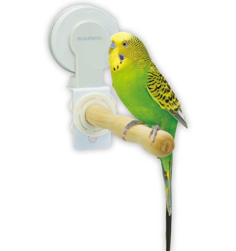 インコ・小鳥用止まり木（パーチ）｜天然木・バードパーチ通販【Peek A