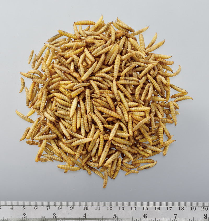 GEX　ヘルシーレシピ　カルシワーム　35g