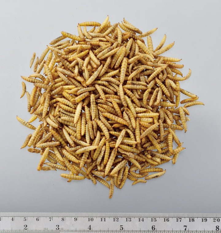 GEX　ヘルシーレシピ　カルシワーム　35g