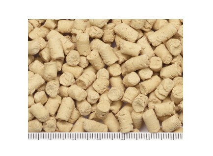 乳酸菌・サプリ　お徳用100g　424