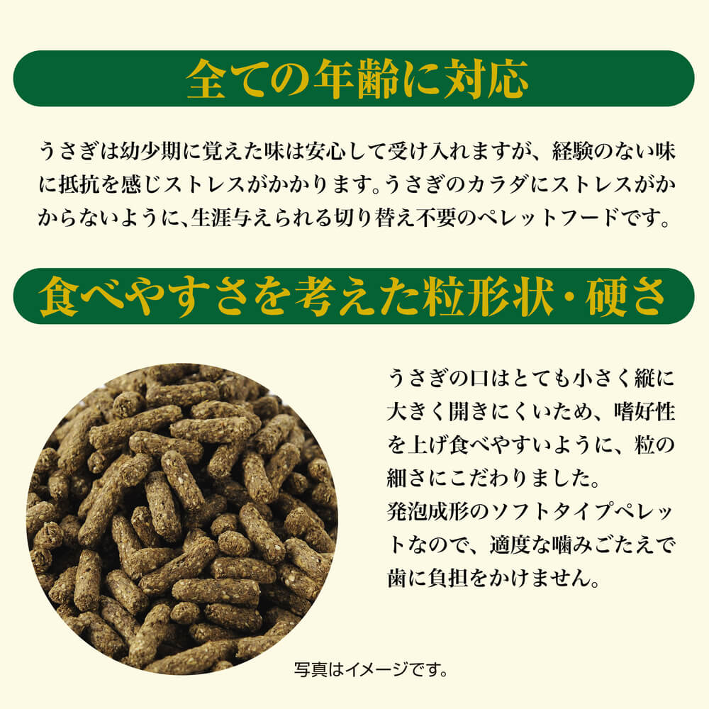 GEX　ラビットプレミアムフード　2.2Kg
