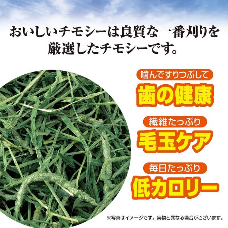 GEX　おいしいチモシー　650g