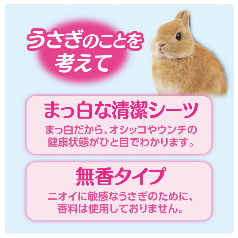 GEX　清潔消臭トイレシーツ　40枚入