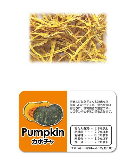 サニーメイド　カボチャ　20g　F87