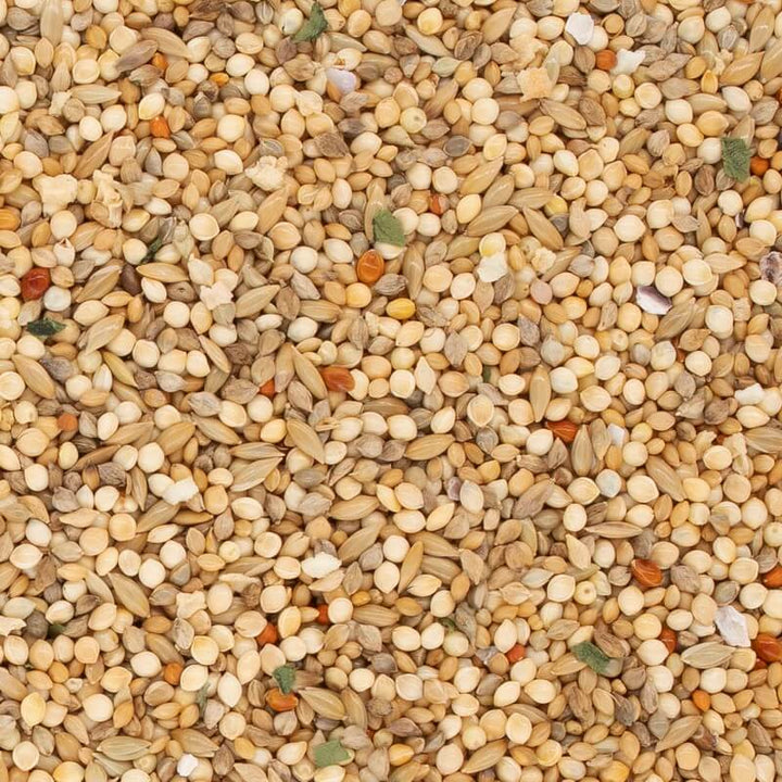 【リニューアル予定・在庫限り】NPF　エクセル　セキセイインコ　皮付　1.5kg　【在庫限り】