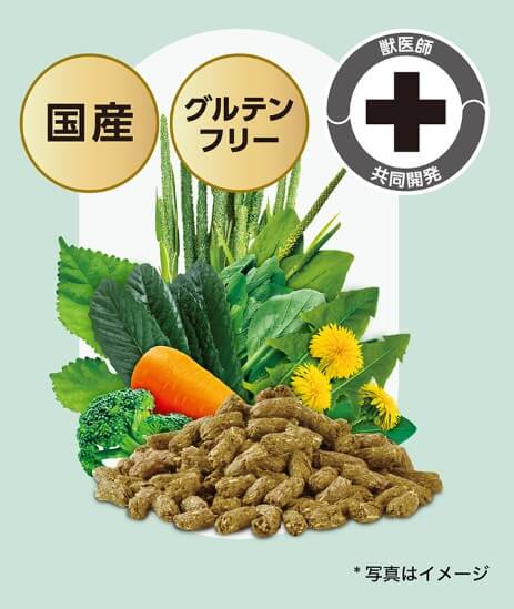 【ネット通販厳禁】【生体取扱店限定】イースター　バニーセレクションプロ　メンテナンス　2.25Kg